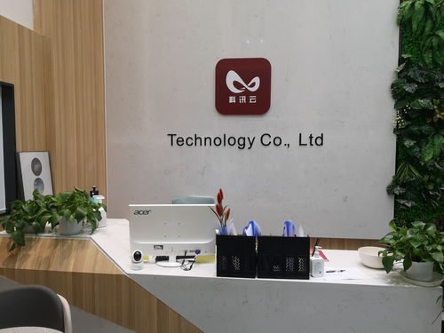 為什么成都軟件開發首選這家軟件外包服務？